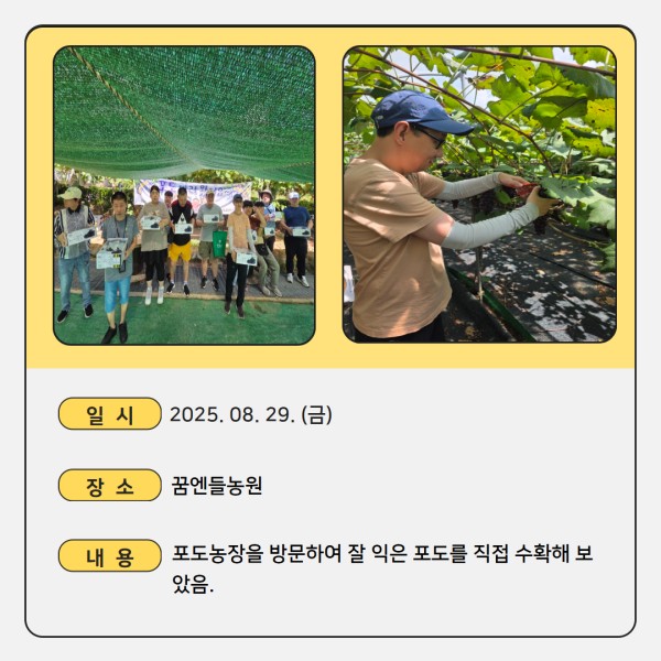 291520ba49cc99bcbe719cb73af5fae4_1756455354_384.jpg